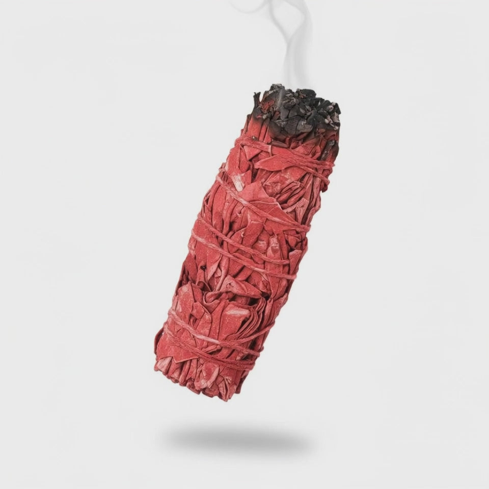 Dragon’s Blood Red Sage – 4” Smudge Bundle California